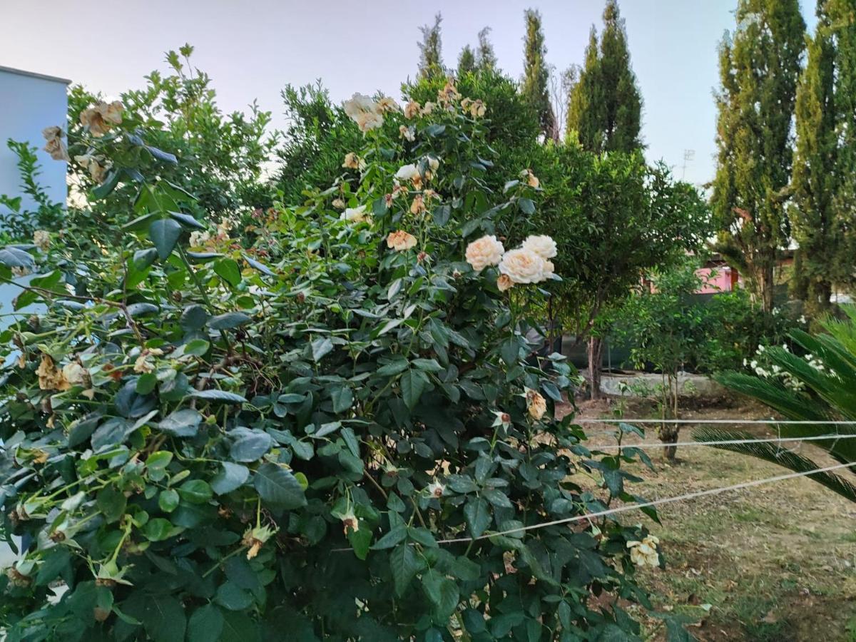 Filoxenia Di Umberto Guest House Sassari Luaran gambar